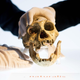 One of the Dmanisi skulls on exhibit in Leiden in 2009.